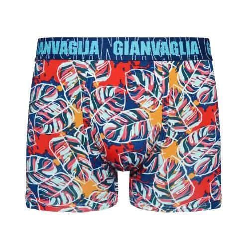 Gianvaglia Big Leaves mehrfarbig/print boxer short