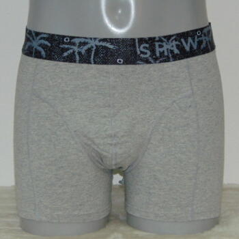 Schiwi-Männer Palm Grau Boxershort