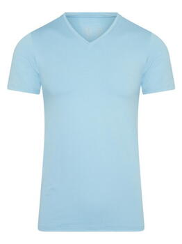 RJ Bodywear Männer Pure Color  Baby Blau Shirt
