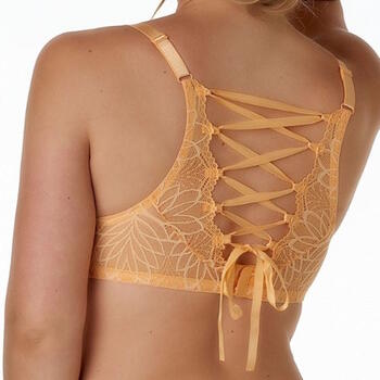 After Eden D-Cup & Up Febe Pferzig Vorgeformter BH