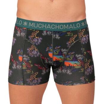 Muchachomalo Frogger Grün/Print Modal Boxershort