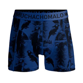Muchachomalo Papagay Blau/Print Jungen Boxershort