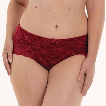 Rosa Faia Bobette Weinrot Hoher Slip