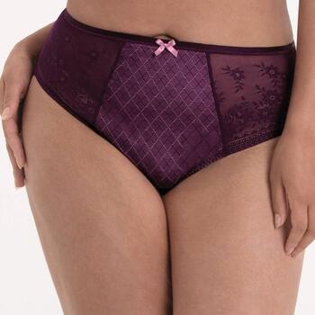 Rosa Faia Rosemary Violett Hoher Slip