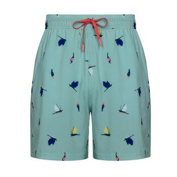 Pastunette Heren Grün Badehose