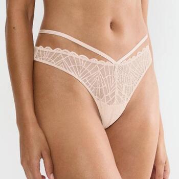 Triumph That Night In Vegas Pulver String