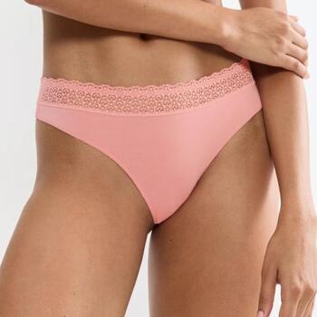 Triumph Feel of Modal Pink String