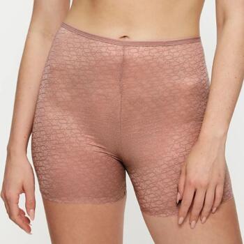 Triumph Signature Sheer Braun Hipster