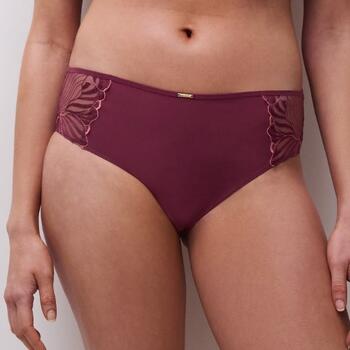 Chantelle Legend Aubergine Hipster