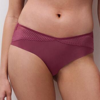 Chantelle Play Aubergine Hipster