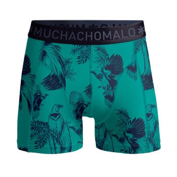 MUCHACHOMALO Birds Turquoise/print Boxershort  [70]