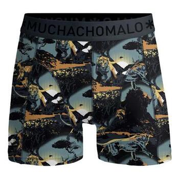 MUCHACHOMALO BOYS LION Blue/print Boxershort [48]