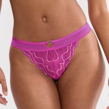 Triumph Palina Waves of Glow String Plum Fusion