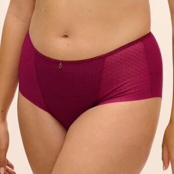 Fantasie Evolution Comfort Ruby Full Brief