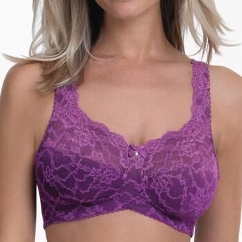 Rosa Faia Bobette Comfortbeha Magic Purple