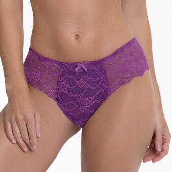 Rosa Faia Bobette Shorty Magic Purple