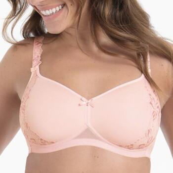 Rosa Faia Suzette Softbeha spacerschalen Wild Rose