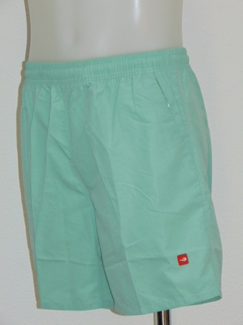 Schiwi-Männer Basic minze badehose