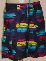 Schiwi-Männer lotus navy-blau badehose