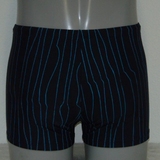 Schiwi-Männer pinstripe navy-blau schwimmboxer