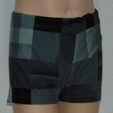 Schiwi-Männer Subject grau schwimmboxer