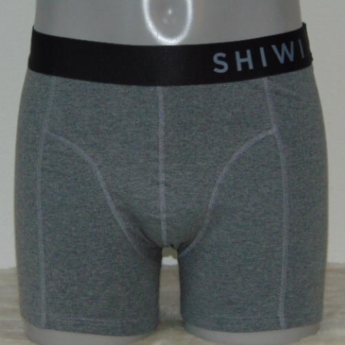 Schiwi-Männer Basic grau boxershort