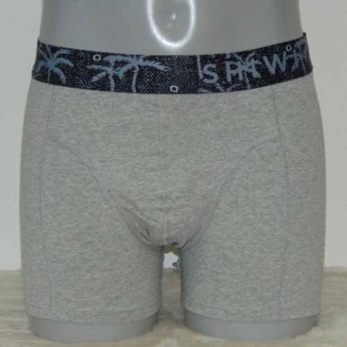Schiwi-Männer Palm grau boxershort