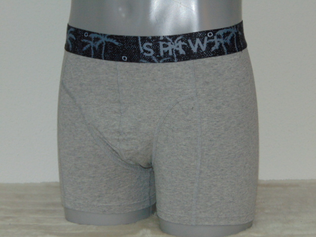Schiwi-Männer Palm grau boxershort