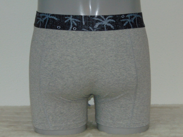Schiwi-Männer Palm grau boxershort