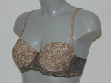 Eva Olivia braun vorgeformter bh