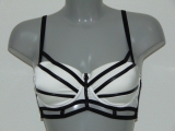 DDO Special Zimbra schwarz/weiß push up bh
