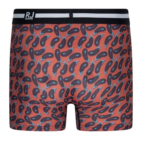 RJ Bodywear Männer Pure Color  aubergine sport boxershort