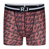 RJ Bodywear Männer Pure Color  aubergine sport boxershort