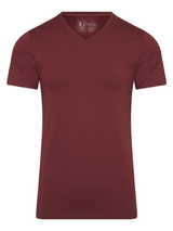 RJ Bodywear Männer Pure Color  port shirt