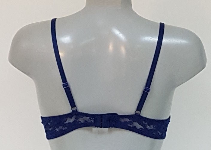 Elbrina Blossom blau push up bh
