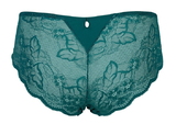 After Eden D-Cup & Up Fauve grün hipster