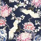 Rosa Faia Bademode Ebony navy-blau/print badeanzüge
