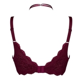 After Eden D-Cup & Up Granada magenta vorgeformter bh