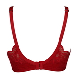 After Eden D-Cup & Up Faro rot vorgeformter bh