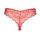 After Eden D-Cup & Up Granada pferzig string