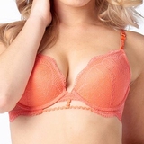 After Eden Donna koralle push up bh