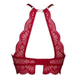 After Eden Daimy pink push up bh