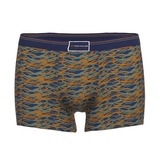 Tom Tailor Blue/Green All over  blau/print sport boxershort