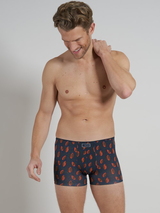 Tom Tailor Autumn grau/orange sport boxershort