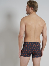 Tom Tailor Autumn grau/orange sport boxershort