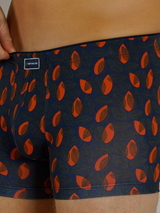 Tom Tailor Autumn grau/orange sport boxershort