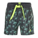  DJ DutchJeans Palmen grau/mintgrün badehose