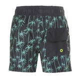  DJ DutchJeans Palmen grau/mintgrün badehose