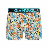 Gianvaglia Pineapple Art mehrfarbig boxershort