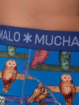 Muchachomalo Owl kobalt boxershort